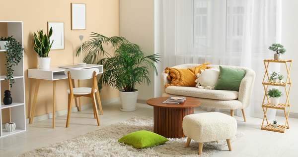 How do I Update the Interior Quickly and on a Budget