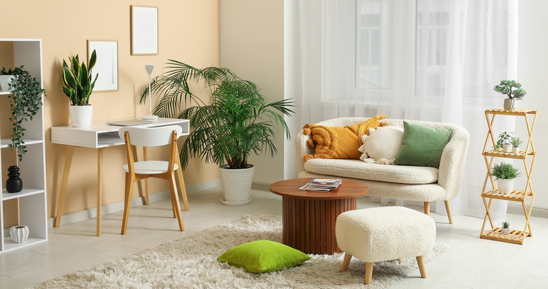 How do I Update the Interior Quickly and on a Budget